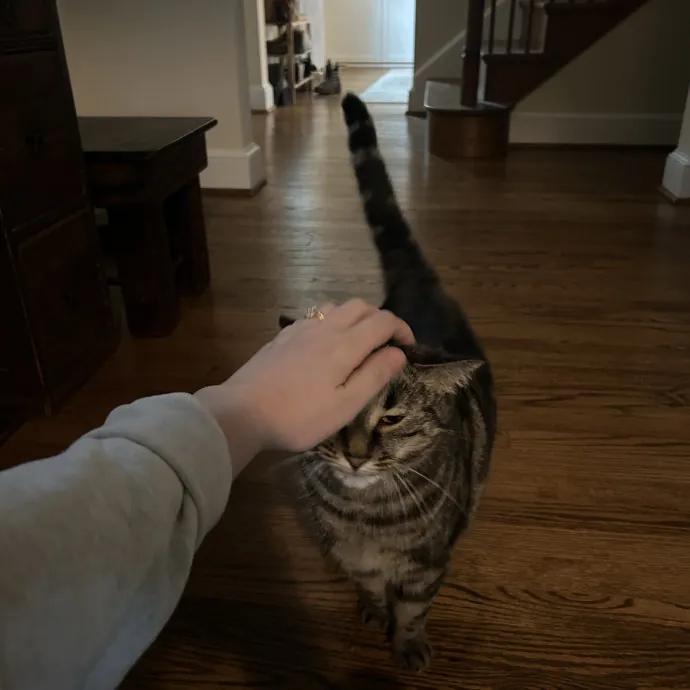 Logan O.