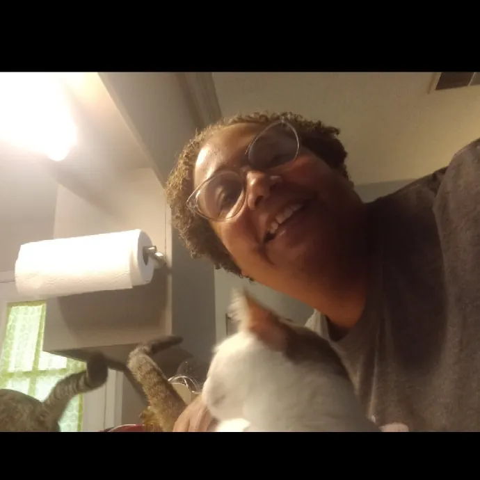 Purr-Fectly Reliable Cat Care