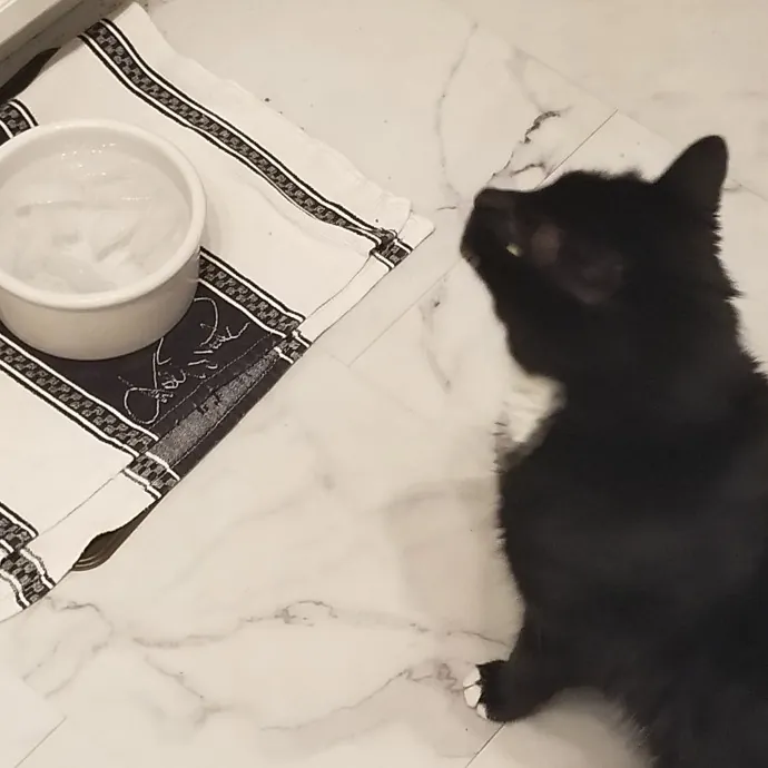 Purr-Fectly Reliable Cat Care