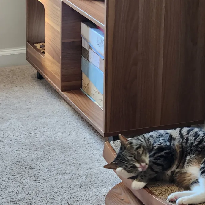 Purr-Fectly Reliable Cat Care photo 2