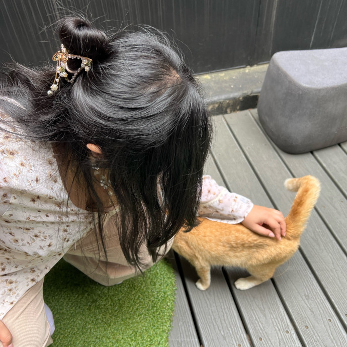 Cat Lover Listener Empathy-Based Care
