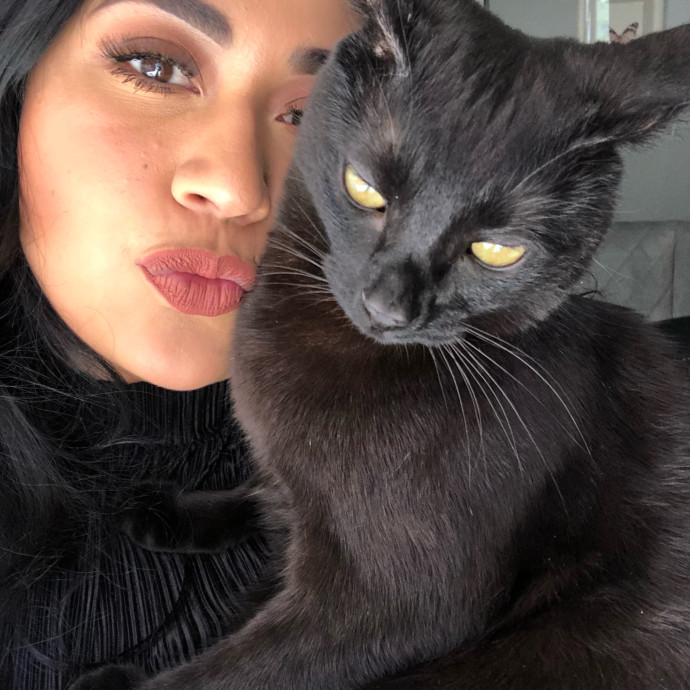 Tidy Mid City Kitty Sitter