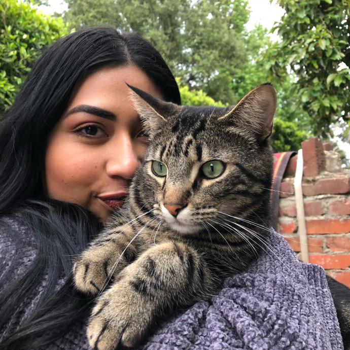 Tidy Mid City Kitty Sitter photo 3