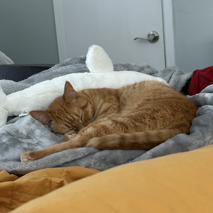 Zookeeper And Cat Parent photo 3