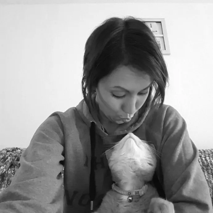 A Whisker And A Paw Cat Sitting