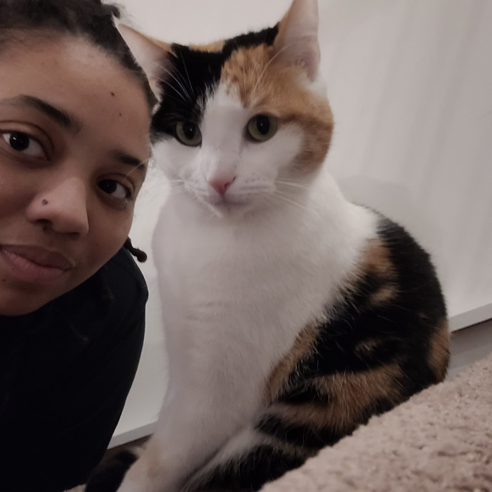 Fun And Loving Cat Sitter
