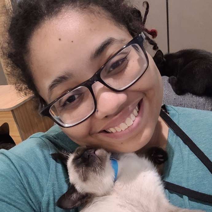 Fun And Loving Cat Sitter