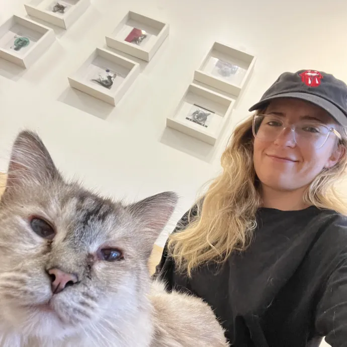 Kate's Whisker Watch photo 3