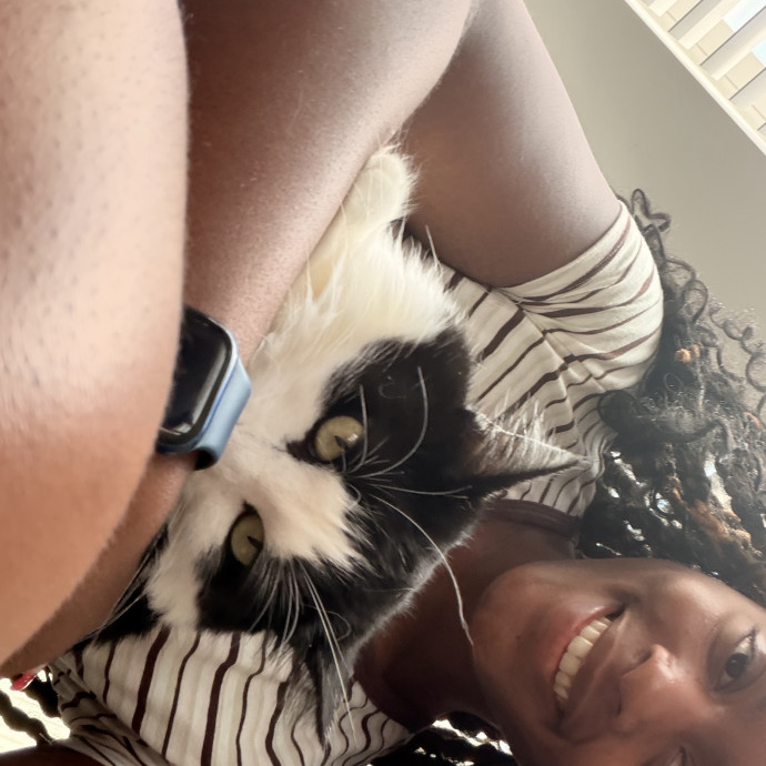 Best Cat Sitter N Town