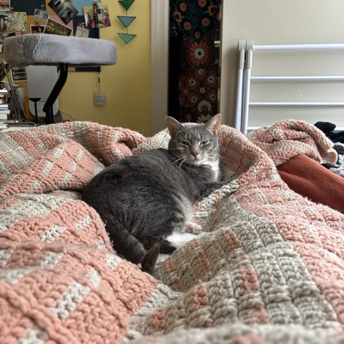 Cat Lady Extraordinaire photo 4