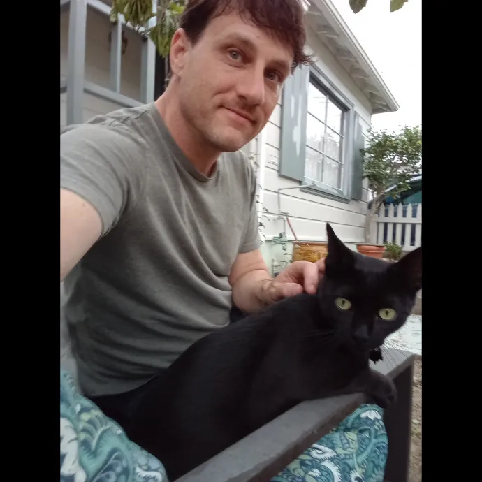 Jay Loves Cats photo 2