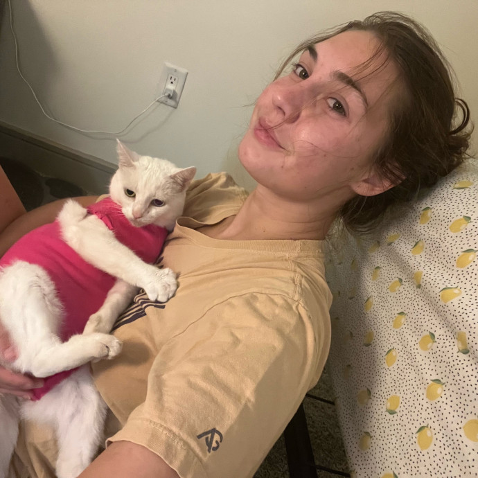 Your Cats Favorite Auntie