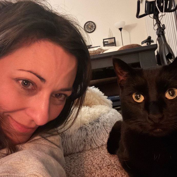 Your Cat's Next Favorite Human