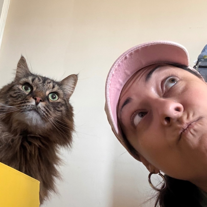 Your Cat's Next Favorite Human