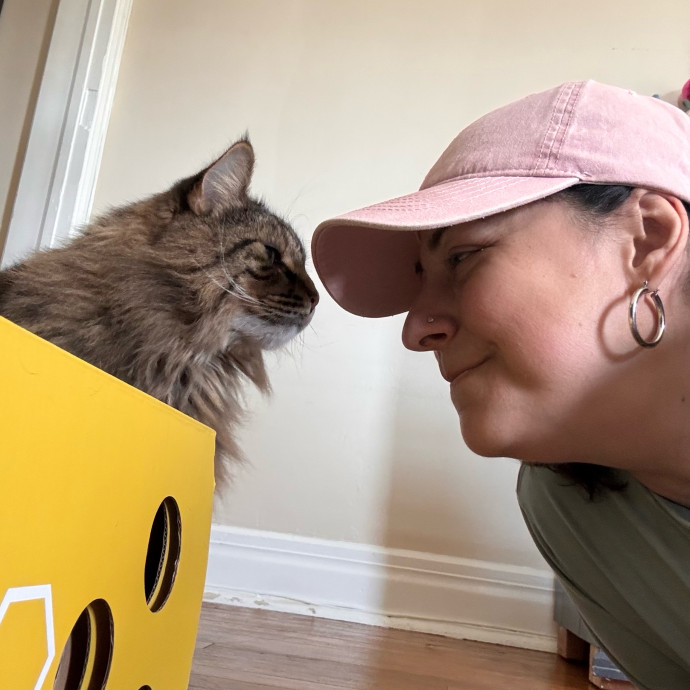 Your Cat's Next Favorite Human