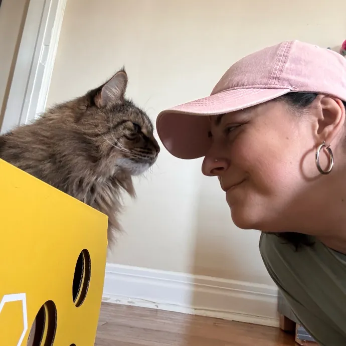 Your Cat's Next Favorite Human