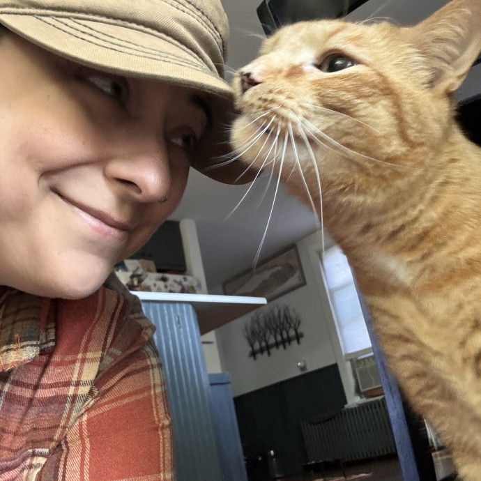 Your Cat's Next Favorite Human