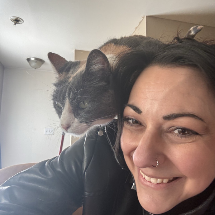 Your Cat's Next Favorite Human