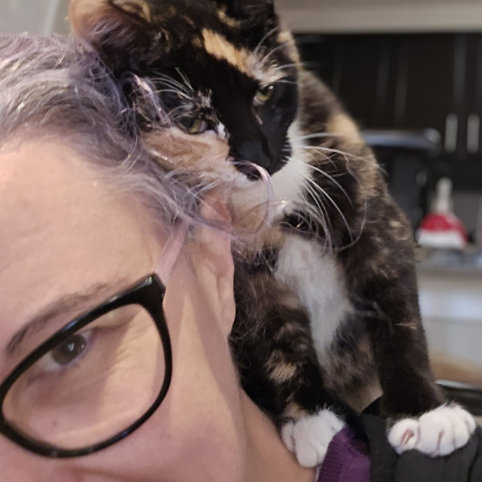 Feline Friendly Vet Tech
