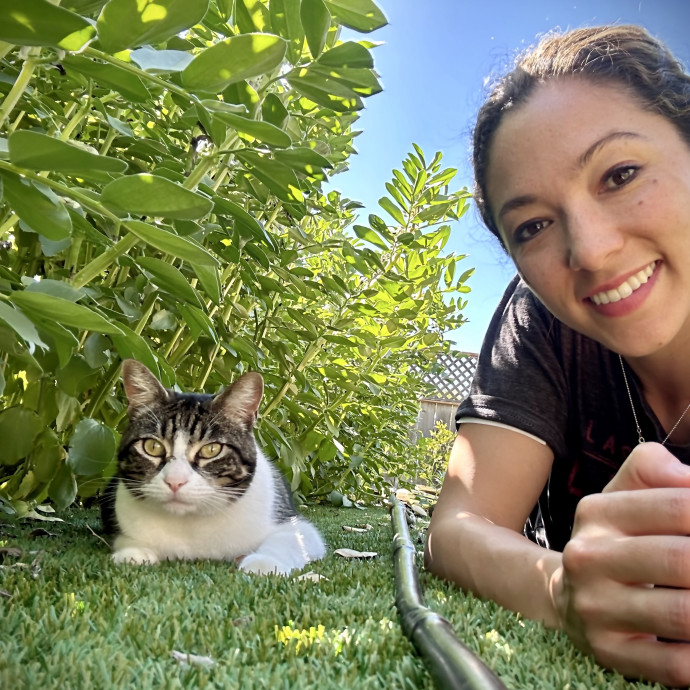 Loving Cat Care photo 3