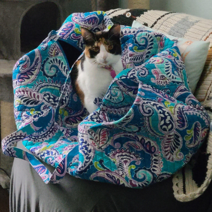 Cat Lady Jan's Arlington Mansfield Care