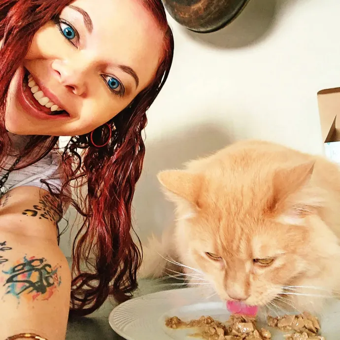 Feline Spoiler Loving All Kitties