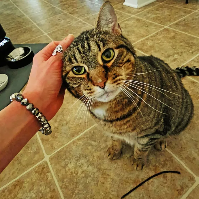 Samantha O.