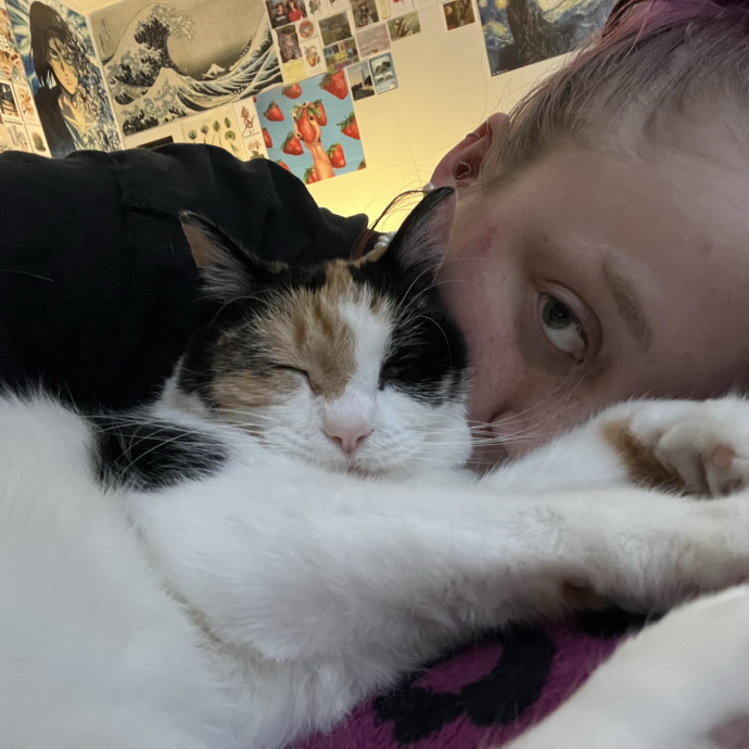 An Experienced Cat Lover