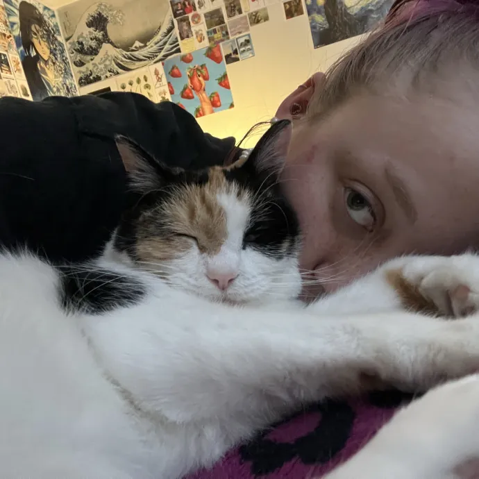 An Experienced Cat Lover