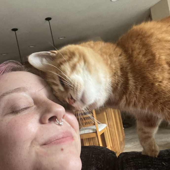 An Experienced Cat Lover