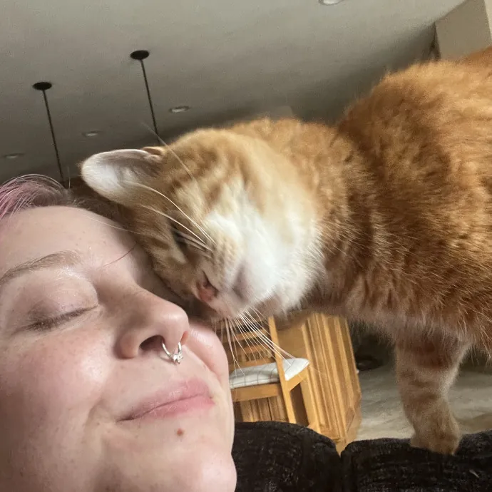 An Experienced Cat Lover
