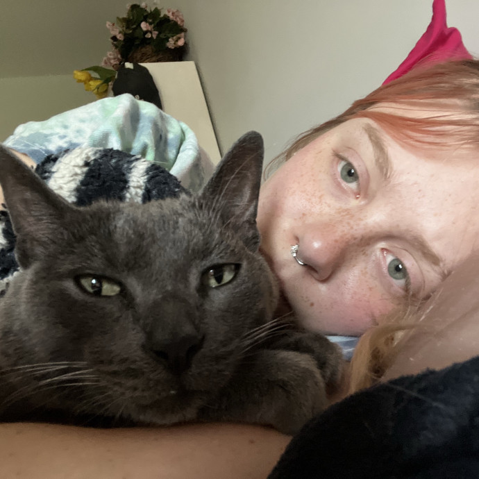 An Experienced Cat Lover