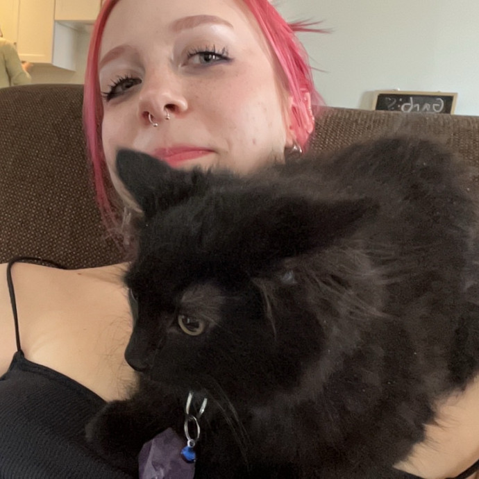 An Experienced Cat Lover