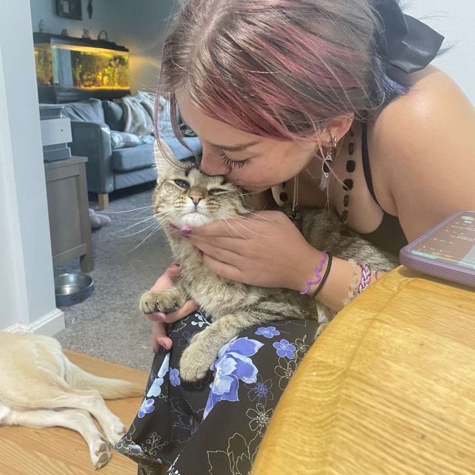 An Experienced Cat Lover photo 3