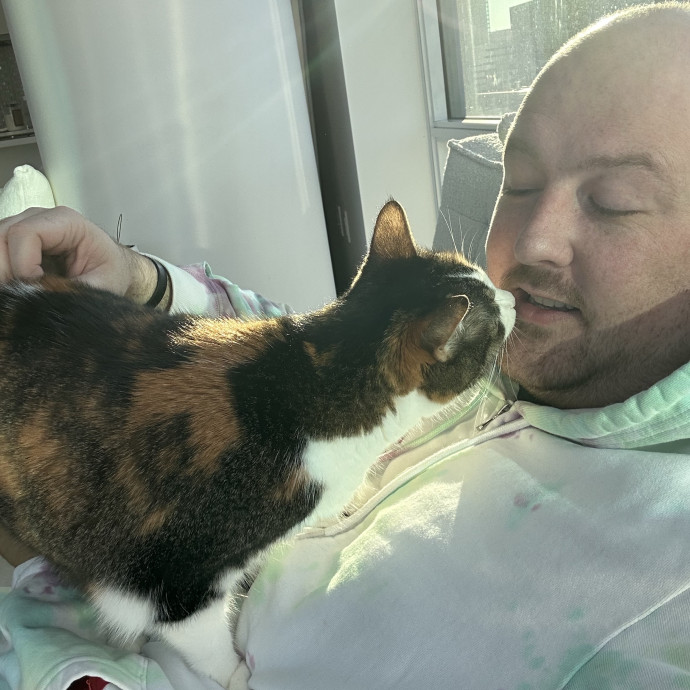 Reliable Senior And Shy Cat Specialist