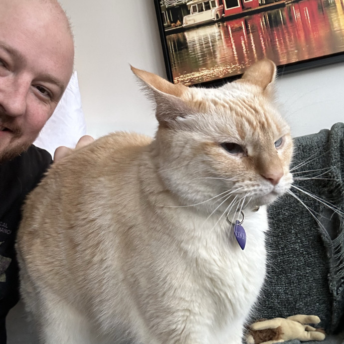 Reliable Senior And Shy Cat Specialist photo 3