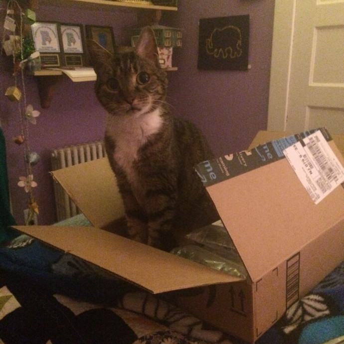 Max's Cats