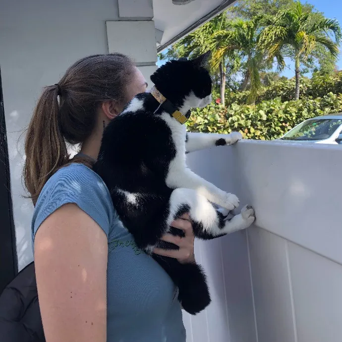 Alex's Meow Manor Care