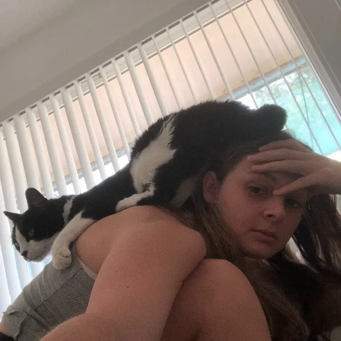 Alex's Meow Manor Care photo 2