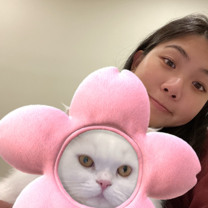 Feline-Focused Human-Approved Cat Care