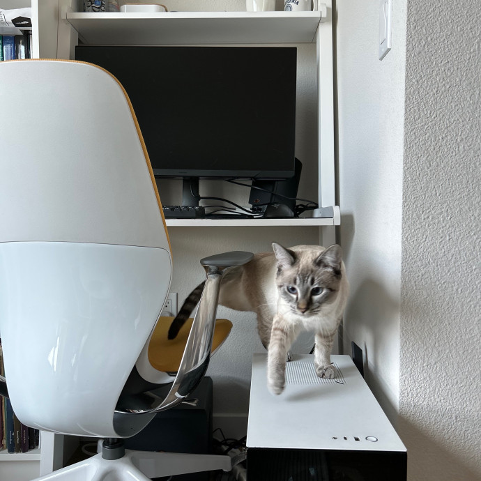Sophia's Purrecious Catcare