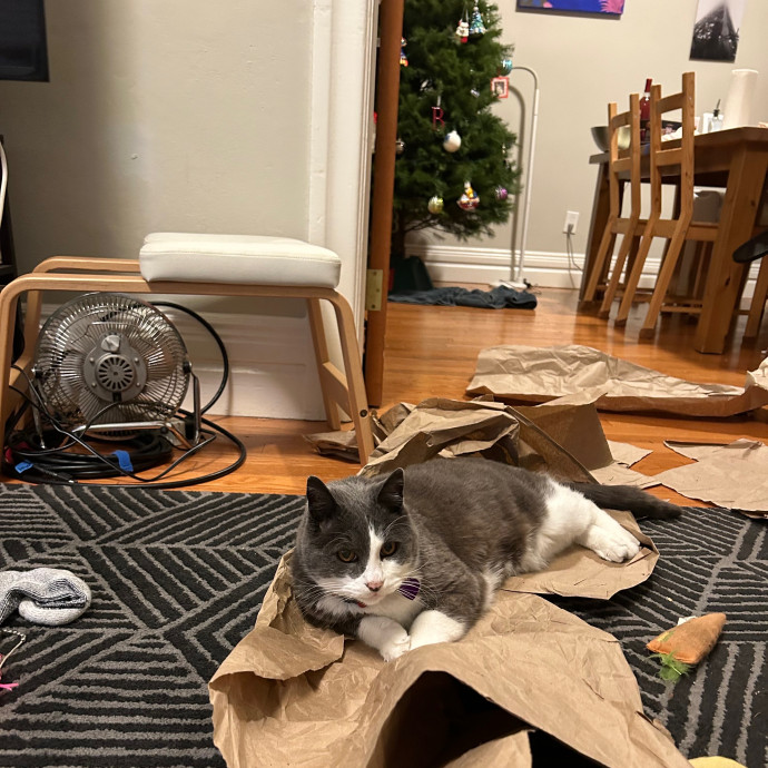 Sophia's Purrecious Catcare