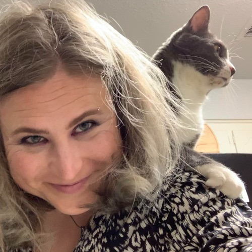 Ashley - Your Fastidious Feline Friend