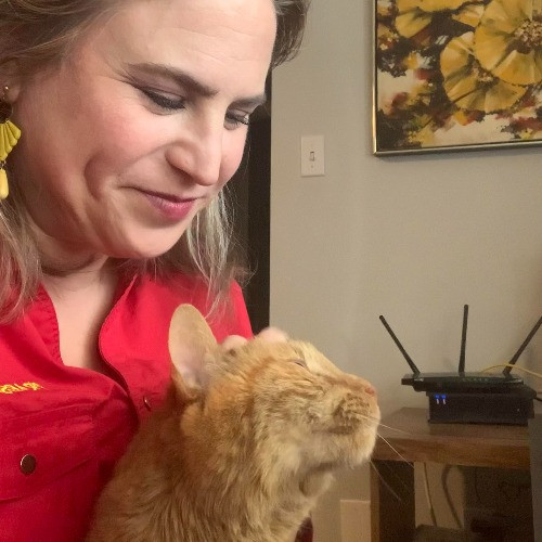 Ashley - Your Fastidious Feline Friend