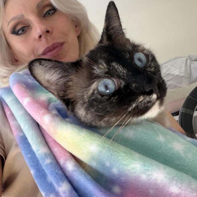 Devoted Cat Mom Of Four