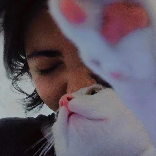 The Purr-Fect Guardian Your Cats' Ultimate Care Companion