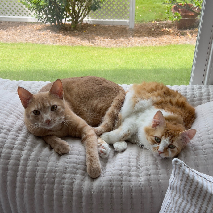 Fun And Loving Sitter photo 2