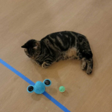 Photo Photo