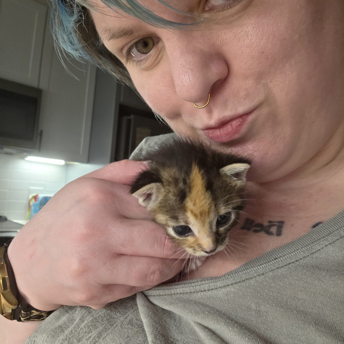 Shanno's Loving Cat Sits In Wylie photo 2