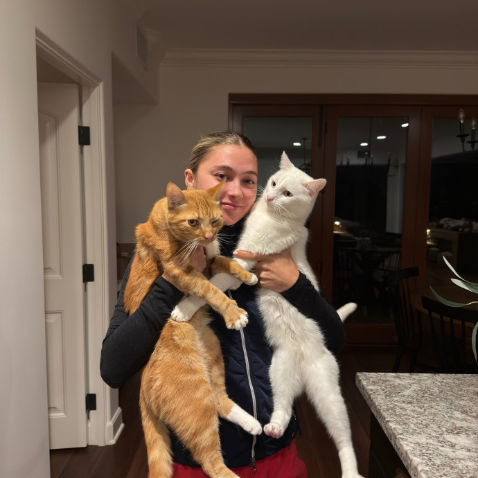 Kylie's Cat Sitting I Love Cats